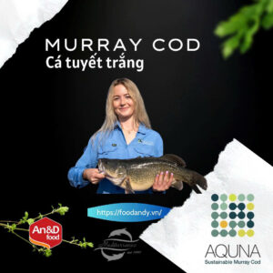 MURRAY COD – CÁ TUYẾT TRẮNG TINH TÚY ĐẾN TỪ NƯỚC ÚC